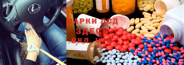 ПСИЛОЦИБИНОВЫЕ ГРИБЫ Няндома